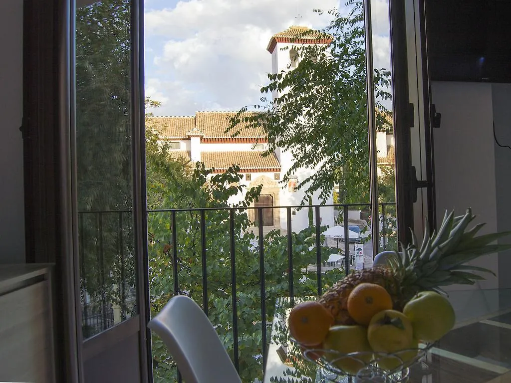 Appartement Mirador De La Lona à Grenade 0*,