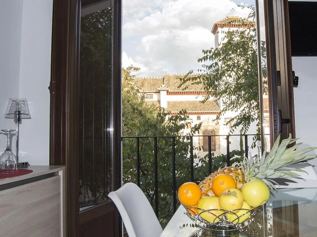 Mirador De La Lona Apartment Granada Spain